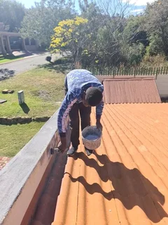 Professional painter