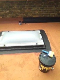 Professional painter