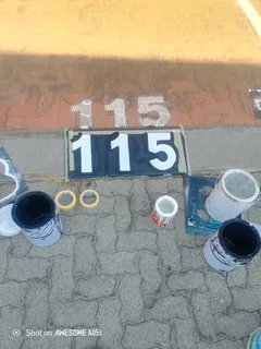 Professional painter