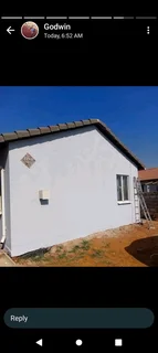 Professional painter