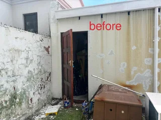 Professional painter