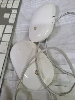 Apple usb  keyboard and 2 usb mouse