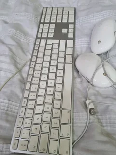 Apple usb  keyboard and 2 usb mouse