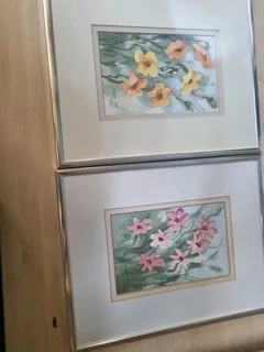 Framed water color paintings