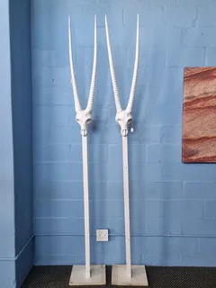 Prespex horns with stand