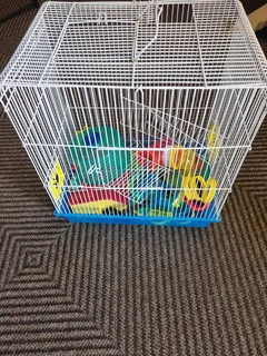 Hamster cage with accessories