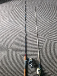 Fishing reels and rod