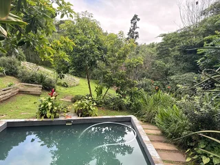 Beautiful 3-Bedroom Home for Sale – Forest Hills, Kloof 