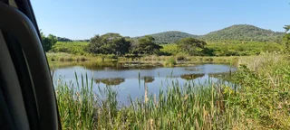 Farm - Ad posted by Denise Hide