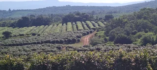 Farm - Ad posted by Denise Hide