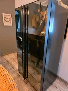 Fridge and Washing Machine Repair