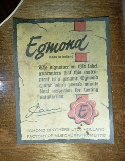 Egmond 12 string guitar