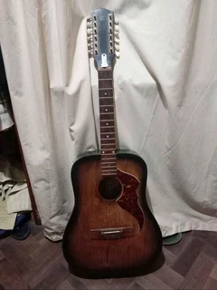 Egmond 12 string guitar