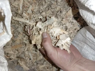 Wood shavings