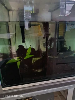 Fish tank with table