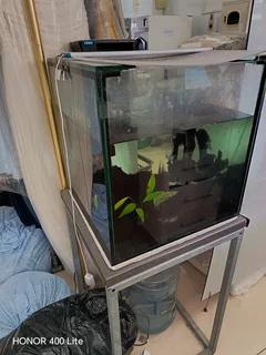 Fish tank with table
