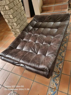 Brand new sleeper couch