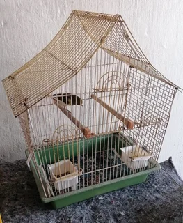 Canary breeding setup for sale