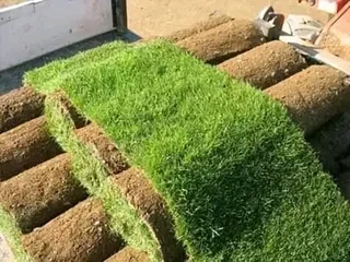 Go Green Landscaping And Design.