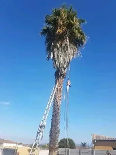 GO GREEN LANDSCAPING AND DESIGN.