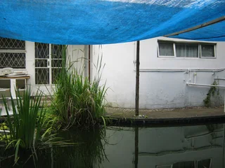 Lovely garden flat to let