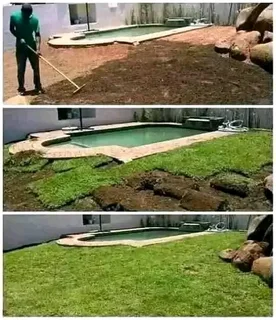 Roll on  lawn , artificial grass  , Compost and types of paving