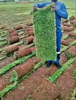 Artificial  grass  , Roll on lawn  , Compost  and all types of paving