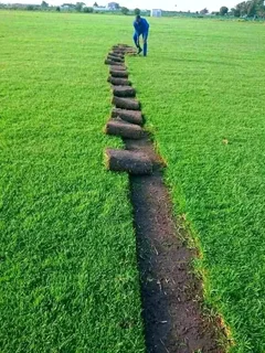 Roll on lawn  , artificial grass  ,Compost and all types of paving