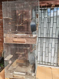 Chinchilla cage, rabbit cage or guinee pig