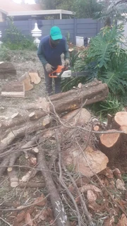 Dry wood