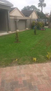 LM Grass & Kikuyu Grass