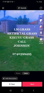 LM Grass &amp; Kikuyu Grass