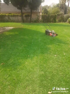 LM Grass &amp; Kikuyu Grass