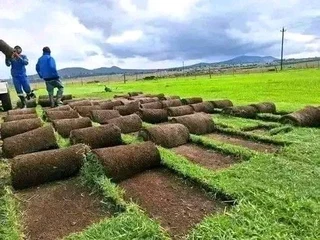 TREE FELLING &amp; GRASS