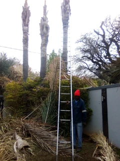 TREE FELLING &amp; GRASS