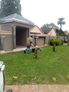 TREE FELLING &amp; GRASS