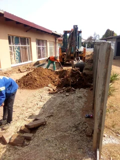 TREE FELLING &amp; GRASS