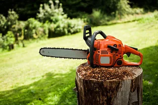 Tree felling services and landscaping-0787460880 in all areas kraaifontein 24/7