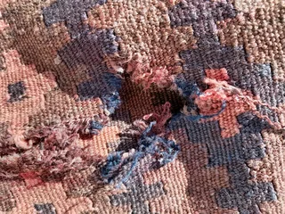 Fix and cleaning carperts