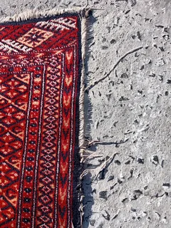 Fix and cleaning carperts