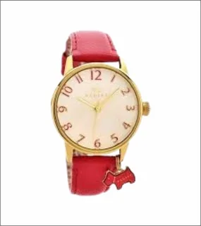 Ladies Watch