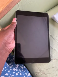 iPad mini 2