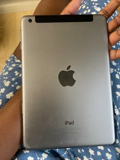 iPad mini 2