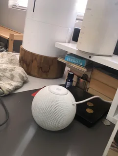 Apple mini  Home pod whit