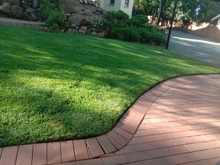 Looking for part time garden job