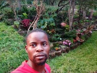 Looking for part time garden job for a monday and friday