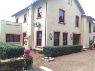 PROFESSIONAL PAINTERS