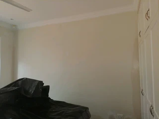 PROFESSIONAL PAINTERS