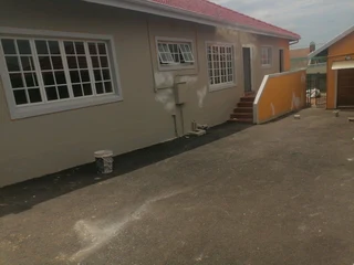 PROFESSIONAL PAINTERS