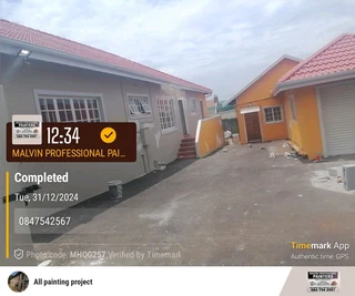 PROFESSIONAL PAINTERS